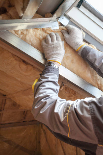 Best Cellulose Insulation in Stanwood, WA