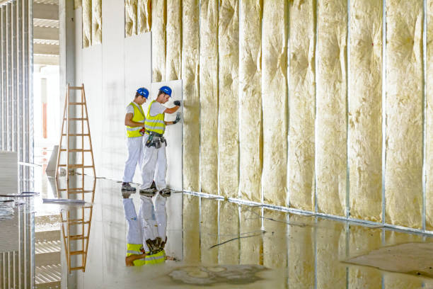 Types of Insulation We Offer in Stanwood, WA